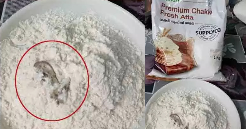 സപ്ലൈകോയുടെ ആട്ടയില്‍ ചത്ത പല്ലി; സംഭവം ആലപ്പുഴയില്‍, പരാതി