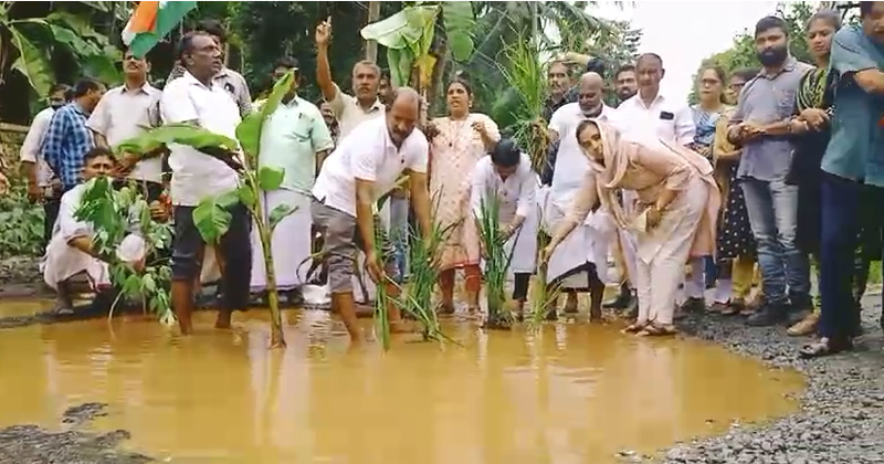 തണ്ണീർപ്പന്തൽ റോഡിന്‍റെ ശോചനീയാവസ്ഥ; റോഡിൽ കൃഷിയിറക്കി പ്രതിഷേധിച്ച് കോണ്‍ഗ്രസ്
