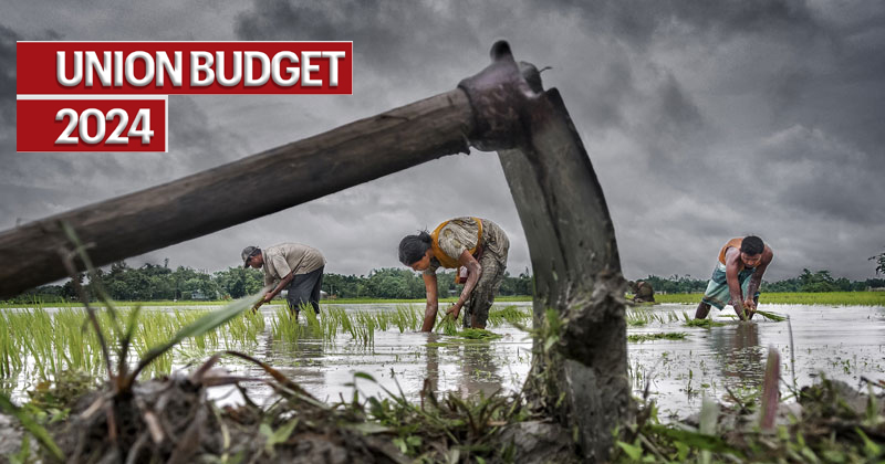 കേന്ദ്ര ബജറ്റ് 2024: കർഷകർക്കായി 1.5 ലക്ഷം കോടി; കിസാന്‍ ക്രെഡിറ്റ് കാർഡ് 5 സംസ്ഥാനങ്ങളില്‍ കൂടി