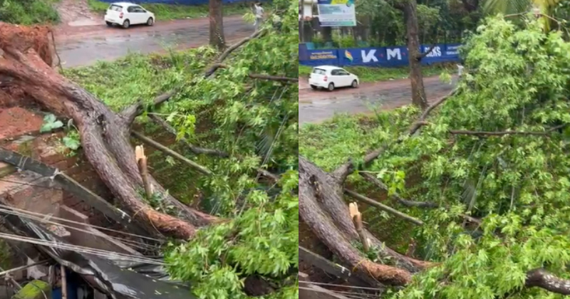ശക്തമായ കാറ്റില്‍ മലപ്പുറത്ത് വ്യാപക നാശനഷ്ടം; തെങ്ങ് വീണു ഒരാൾ മരിച്ചു