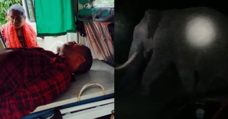 വയനാട്ടില്‍ കാട്ടാന ശല്യം രൂക്ഷം; മധ്യവയസ്ക്കനുനേരെ ആക്രമണം