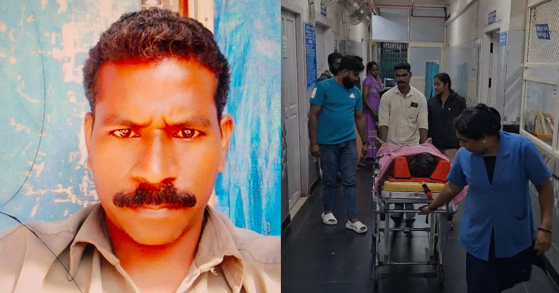 വീണ്ടും കാട്ടാന ആക്രമണം; ഇടുക്കിയില്‍ ഒരാള്‍ മരിച്ചു