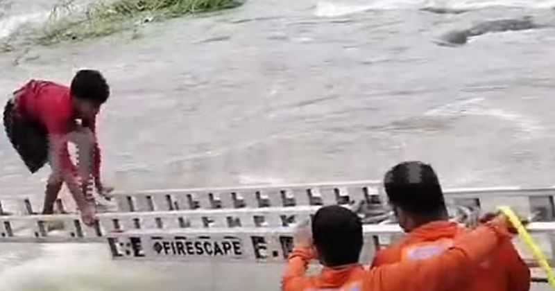 ചിറ്റൂർ പുഴയിൽ കുളിക്കാനിറങ്ങി കുടുങ്ങിയ രണ്ട് കുട്ടികളെ രക്ഷിച്ചു; രക്ഷാദൗത്യം ഏണിയിറക്കി