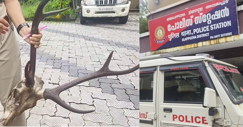 അമ്പലപ്പുഴയില്‍ കൊമ്പോട് കൂടിയ മാൻ കൊമ്പിന്‍റെ തലയോടുമായി 2 യുവാക്കൾ പിടിയിൽ