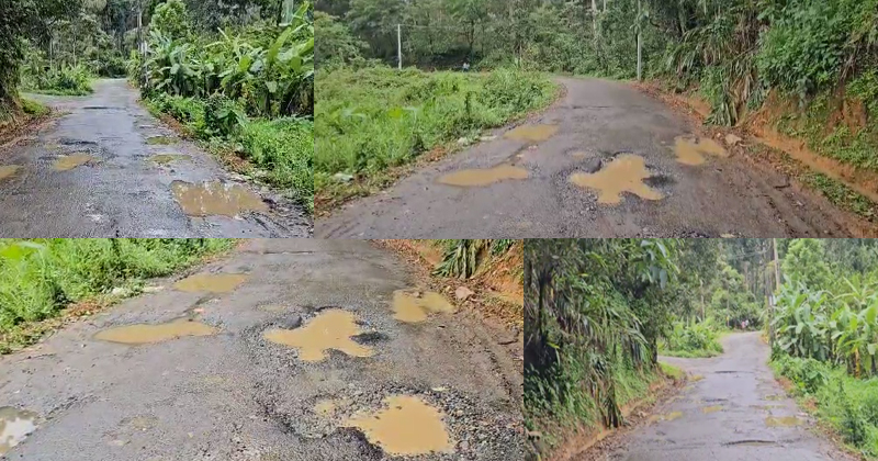 തകർന്നടിഞ്ഞ് ഇടുക്കി പള്ളിവാസല്‍ പഞ്ചായത്തിലെ പീച്ചാട് - പ്ലാമല റോഡ്;  കുണ്ടും കുഴിയുമായി നാട്ടുകാരുടെ നടുവൊടിക്കുന്നു