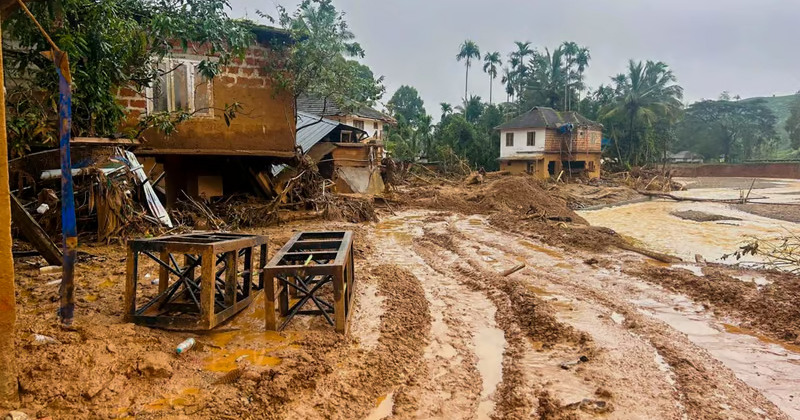 വയനാട് ദുരന്തം: ഇന്‍ഷുറന്‍സ് നടപടികള്‍ വേഗത്തിലാക്കാന്‍ നിർദ്ദേശം