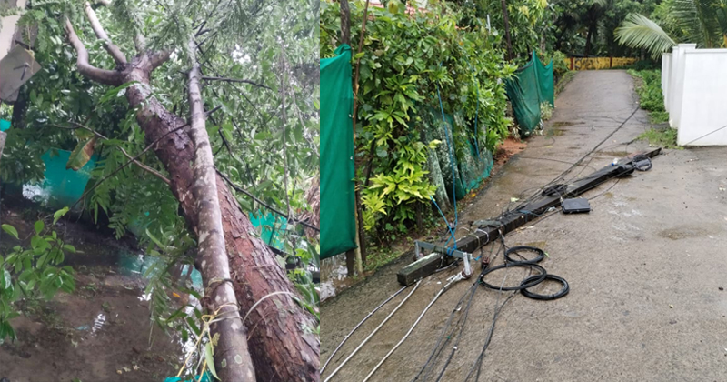 ശക്തമായ കാറ്റിലും മഴയിലും സംസ്ഥാനത്ത് വ്യാപക നാശനഷ്ടം; ട്രാക്കുകളിൽ മരം വീണു, ട്രെയിനുകൾ വൈകി ഓടുന്നു