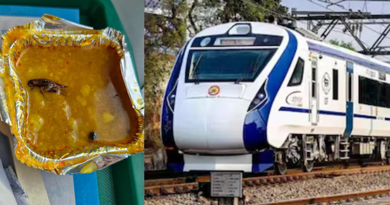 വന്ദേ ഭാരത് എക്സ്പ്രസിൽ കൊടുത്ത പരിപ്പ് കറിയിൽ ചത്ത പാറ്റ; പരാതിയുമായി യാത്രക്കാരന്‍