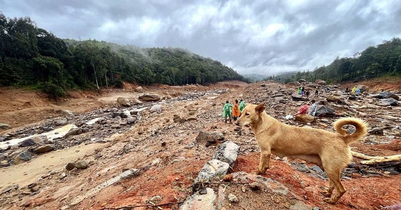 വയനാട് പുനരധിവാസം : ഗുണഭോക്താക്കളുടെ പട്ടിക പ്രസിദ്ധീകരിച്ചു