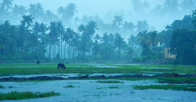 ഇന്നും മഴ കനക്കും; 4 ജില്ലകളില്‍ ഓറഞ്ച് അലര്‍ട്ട്, ജാഗ്രതാ നിര്‍ദേശം