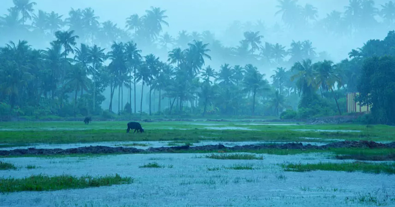 സംസ്ഥാനത്ത് തീവ്രമഴ തുടരും: 9 ജില്ലകളിൽ ഓറഞ്ച് അല‌‌‌ർട്ട്; ശക്തമായ കാറ്റും വീശും, ജാഗ്രതാ നിര്‍ദ്ദേശം