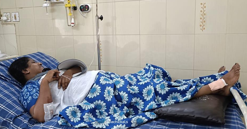 കാട്ടുപന്നിയിടിച്ച് സ്കൂട്ടർ യാത്രക്കാരിക്ക് ഗുരുതര പരുക്ക്; സംഭവം പത്തനംതിട്ടയില്‍