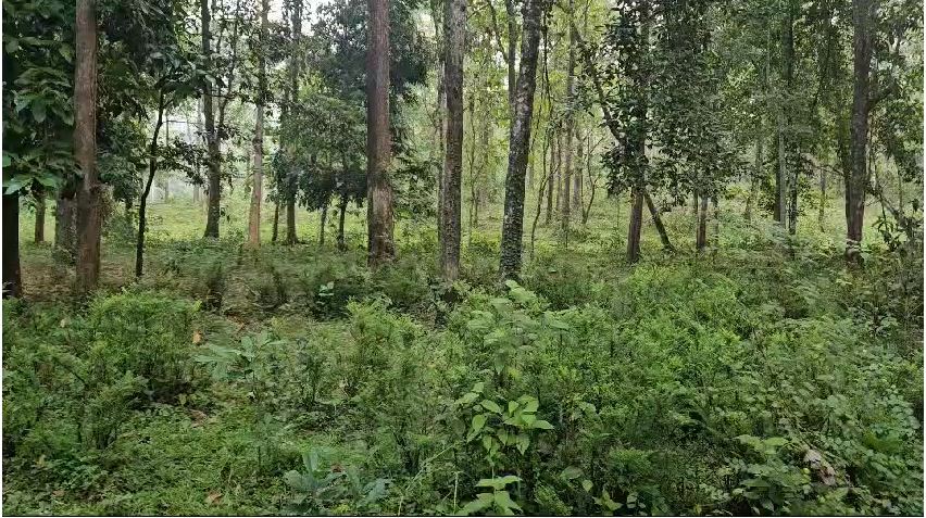 തിരികെ വീട്ടില്‍; കോതമംഗലം കുട്ടമ്പുഴയില്‍ കാണാതായ 3 സ്ത്രീകളെയും തിരികെ എത്തിച്ചു