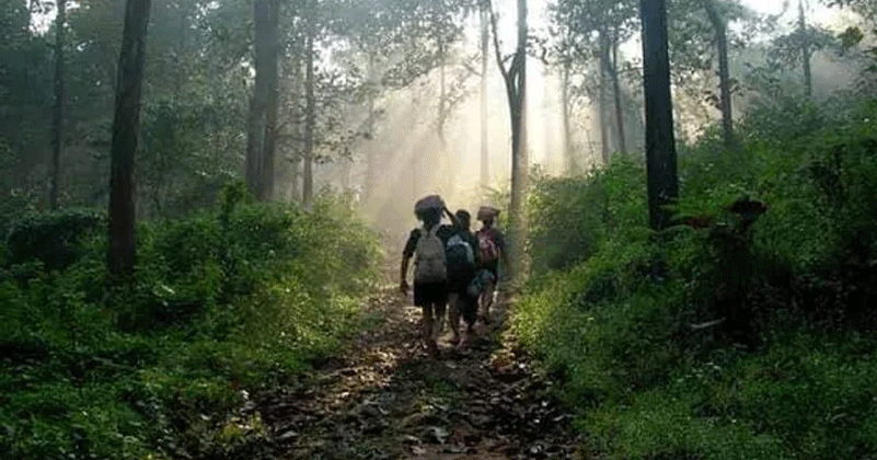 നാളെ വൈകീട്ട് പുല്ലുമേട് നിന്നും സന്നിധാനത്തേക്ക് തീർത്ഥാടകരെ കടത്തിവിടില്ല