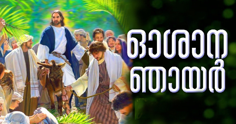 ഓശാന ഞായര്‍; വിശുദ്ധ വാരത്തിന് തുടക്കം